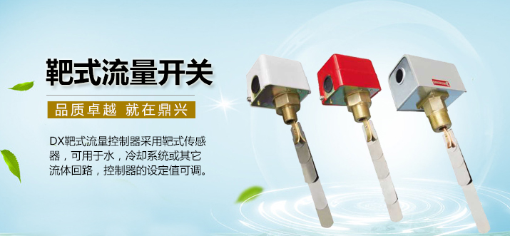 靶式流量開關 靶式流量開關