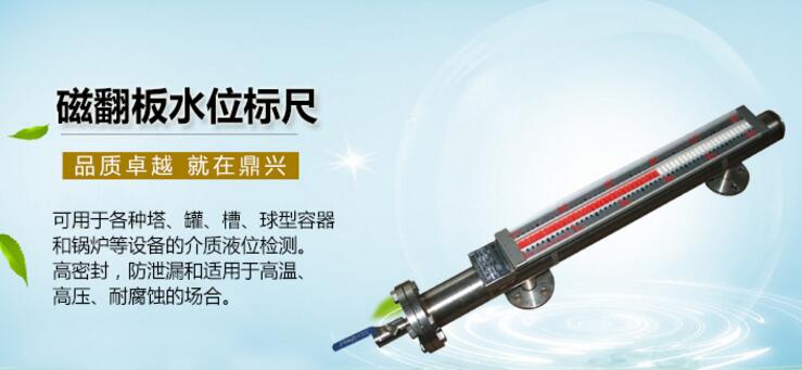 磁翻板液位計(jì) 磁翻板液位計(jì)