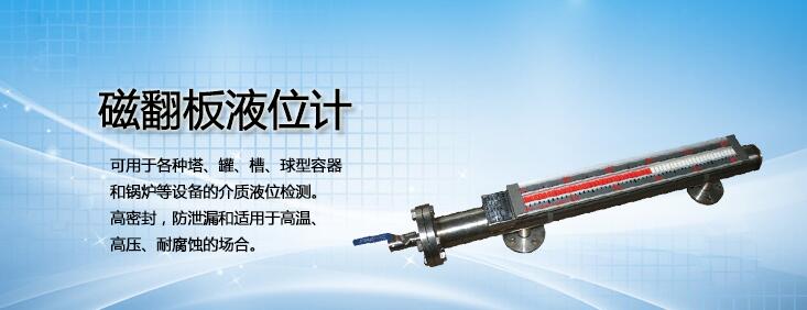 磁翻板液位計(jì) 磁翻板液位計(jì)
